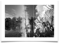 Pentax 3 - 1 - Chris Beesely